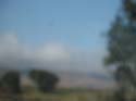 Pics211